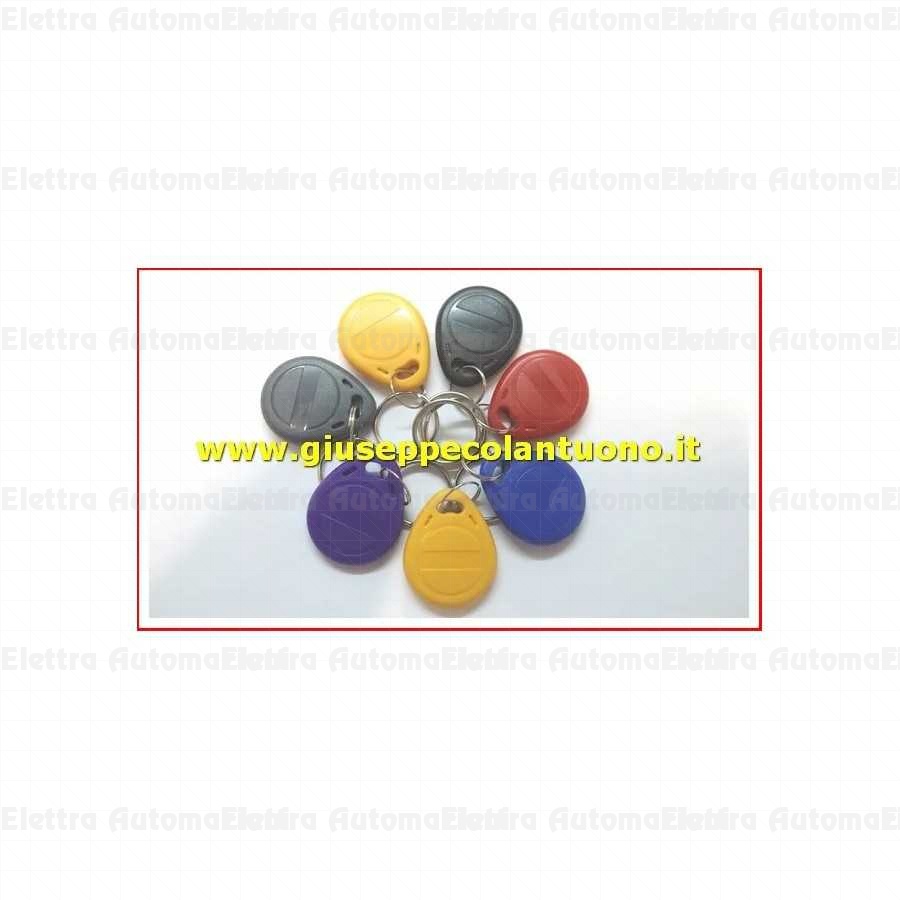 TAG RFID riscrivibile scrivibile Portachiavi Apertura Cancello Automatico FAAC